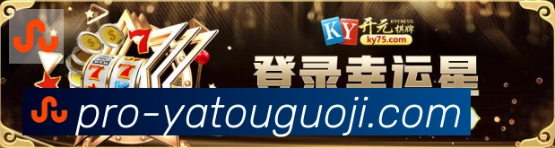 企业概况